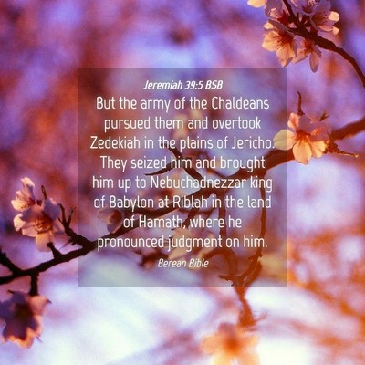Picture 04 - Jeremiah 39:5 BSB - But the army of the Chaldeans pursued them and - Bible Verse Picture
