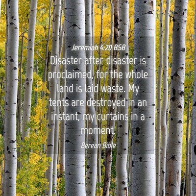 Picture 04 - Jeremiah 4:20 BSB - Disaster after disaster is proclaimed, for the - Bible Verse Picture