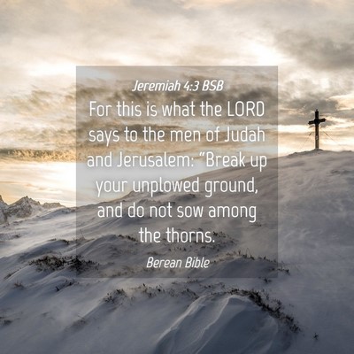 Picture 04 - Jeremiah 4:3 BSB - For this is what the LORD says to the men of - Bible Verse Picture