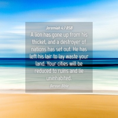 Picture 04 - Jeremiah 4:7 BSB - A lion has gone up from his thicket, and a - Bible Verse Picture