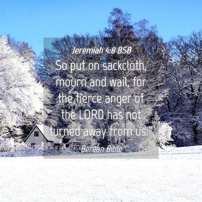 Picture 04 - Jeremiah 4:8 BSB - So put on sackcloth, mourn and wail, for the - Bible Verse Picture