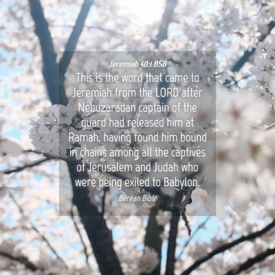 Picture 04 - Jeremiah 40:1 BSB - This is the word that came to Jeremiah from the - Bible Verse Picture