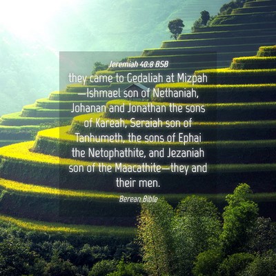 Picture 04 - Jeremiah 40:8 BSB - they came to Gedaliah at Mizpah—Ishmael son of - Bible Verse Picture