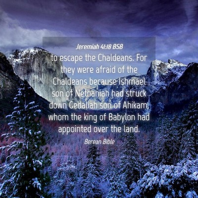 Picture 04 - Jeremiah 41:18 BSB - to escape the Chaldeans. For they were afraid of - Bible Verse Picture