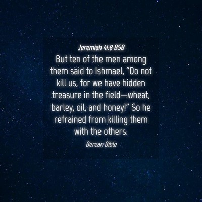Picture 04 - Jeremiah 41:8 BSB - But ten of the men among them said to Ishmael, - Bible Verse Picture