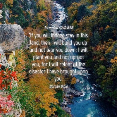 Picture 04 - Jeremiah 42:10 BSB - ‘If you will indeed stay in this land, then I - Bible Verse Picture