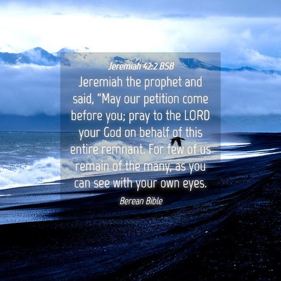Picture 04 - Jeremiah 42:2 BSB - Jeremiah the prophet and said, “May our - Bible Verse Picture