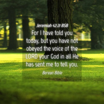 Picture 04 - Jeremiah 42:21 BSB - For I have told you today, but you have not - Bible Verse Picture