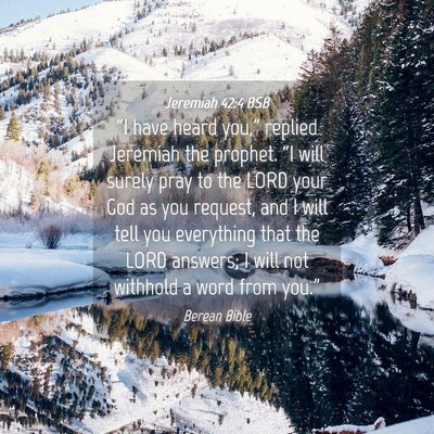 Picture 04 - Jeremiah 42:4 BSB - “I have heard you,” replied Jeremiah the - Bible Verse Picture