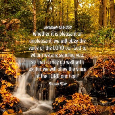 Picture 04 - Jeremiah 42:6 BSB - Whether it is pleasant or unpleasant, we will - Bible Verse Picture