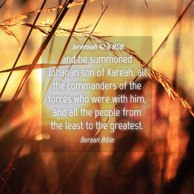 Picture 04 - Jeremiah 42:8 BSB - and he summoned Johanan son of Kareah, all the - Bible Verse Picture