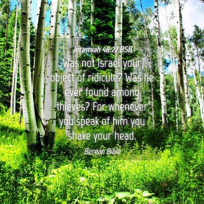 Picture 04 - Jeremiah 48:27 BSB - Was not Israel your object of ridicule? Was he - Bible Verse Picture