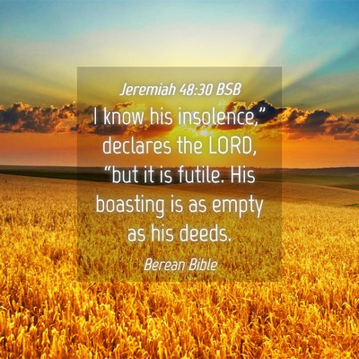 Picture 04 - Jeremiah 48:30 BSB - I know his insolence,” declares the LORD, - Bible Verse Picture