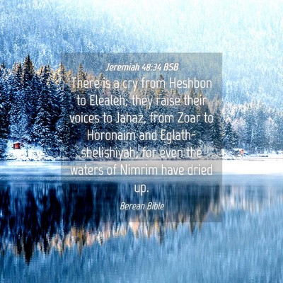Picture 04 - Jeremiah 48:34 BSB - There is a cry from Heshbon to Elealeh; they - Bible Verse Picture