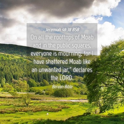 Picture 04 - Jeremiah 48:38 BSB - On all the rooftops of Moab and in the public - Bible Verse Picture