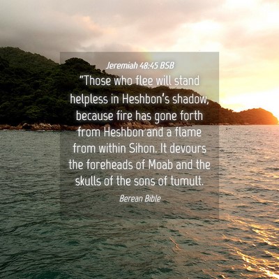 Picture 04 - Jeremiah 48:45 BSB - “Those who flee will stand helpless in - Bible Verse Picture