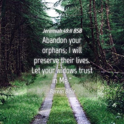 Picture 04 - Jeremiah 49:11 BSB - Abandon your orphans; I will preserve their - Bible Verse Picture