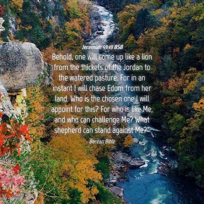 Picture 04 - Jeremiah 49:19 BSB - Behold, one will come up like a lion from the - Bible Verse Picture