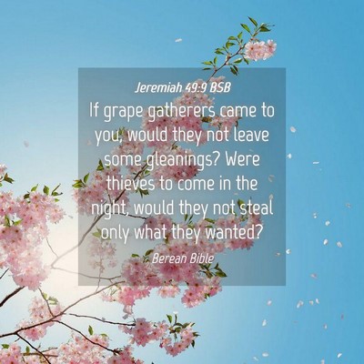 Picture 04 - Jeremiah 49:9 BSB - If grape gatherers came to you, would they not - Bible Verse Picture