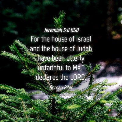 Picture 04 - Jeremiah 5:11 BSB - For the house of Israel and the house of Judah - Bible Verse Picture