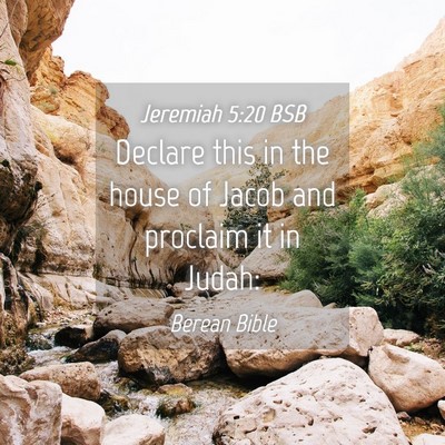 Picture 04 - Jeremiah 5:20 BSB - Declare this in the house of Jacob and proclaim - Bible Verse Picture