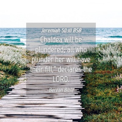 Picture 04 - Jeremiah 50:10 BSB - Chaldea will be plundered; all who plunder her - Bible Verse Picture