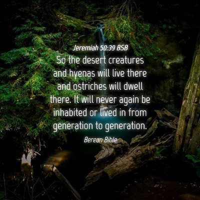 Picture 04 - Jeremiah 50:39 BSB - So the desert creatures and hyenas will live - Bible Verse Picture
