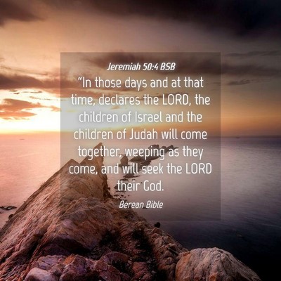 Picture 04 - Jeremiah 50:4 BSB - “In those days and at that time, declares the - Bible Verse Picture