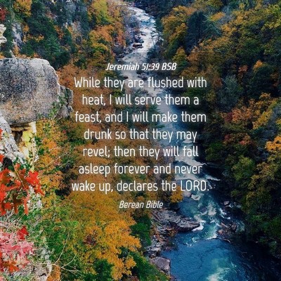 Picture 04 - Jeremiah 51:39 BSB - While they are flushed with heat, I will serve - Bible Verse Picture