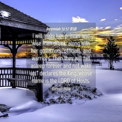 Picture 04 - Jeremiah 51:57 BSB - I will make her princes and wise men drunk, along - Bible Verse Picture