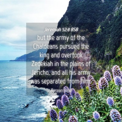 Picture 04 - Jeremiah 52:8 BSB - but the army of the Chaldeans pursued the king - Bible Verse Picture