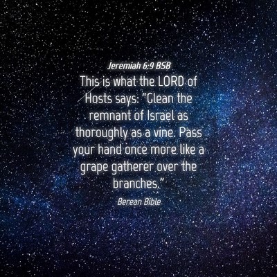 Picture 04 - Jeremiah 6:9 BSB - This is what the LORD of Hosts says: “Glean the - Bible Verse Picture