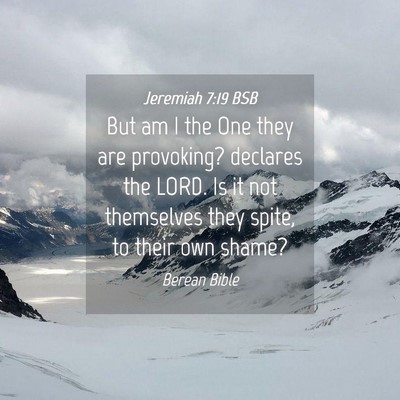 Picture 04 - Jeremiah 7:19 BSB - But am I the One they are provoking? declares the - Bible Verse Picture