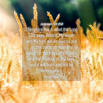 Picture 04 - Jeremiah 7:20 BSB - Therefore this is what the Lord GOD says: Behold, - Bible Verse Picture