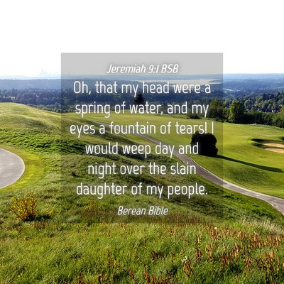 Picture 04 - Jeremiah 9:1 BSB - Oh, that my head were a spring of water, and my - Bible Verse Picture