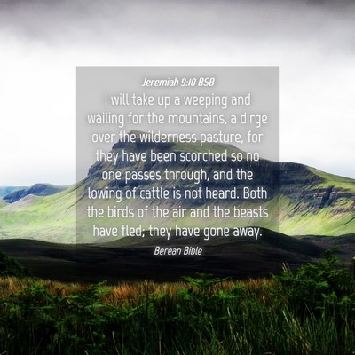 Picture 04 - Jeremiah 9:10 BSB - I will take up a weeping and wailing for the - Bible Verse Picture