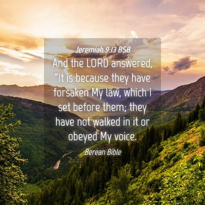 Picture 04 - Jeremiah 9:13 BSB - And the LORD answered, “It is because they have - Bible Verse Picture