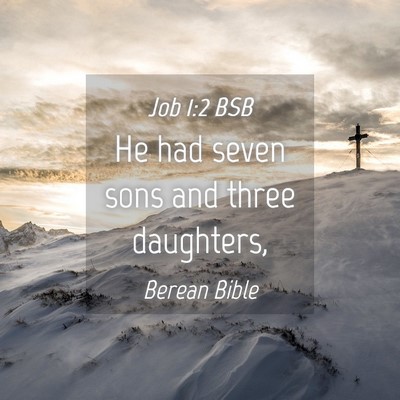 Picture 04 - Job 1:2 BSB - He had seven sons and three - Bible Verse Picture
