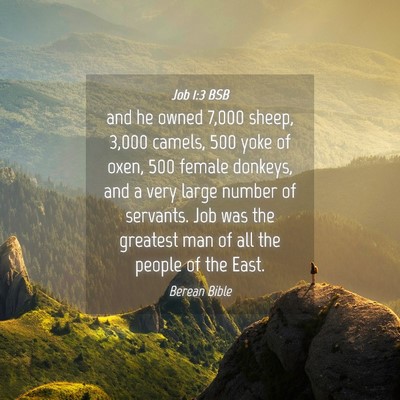 Picture 04 - Job 1:3 BSB - and he owned 7,000 sheep, 3,000 camels, 500 yoke - Bible Verse Picture