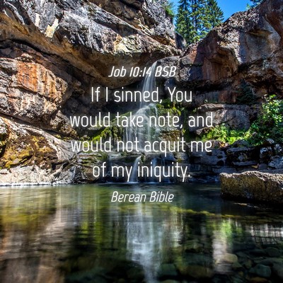 Picture 04 - Job 10:14 BSB - If I sinned, You would take note, and would not - Bible Verse Picture