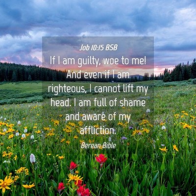 Picture 04 - Job 10:15 BSB - If I am guilty, woe to me! And even if I am - Bible Verse Picture