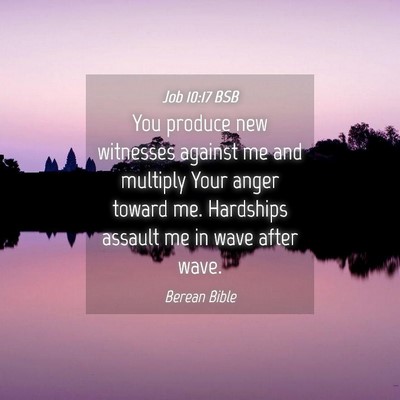 Picture 04 - Job 10:17 BSB - You produce new witnesses against me and multiply - Bible Verse Picture