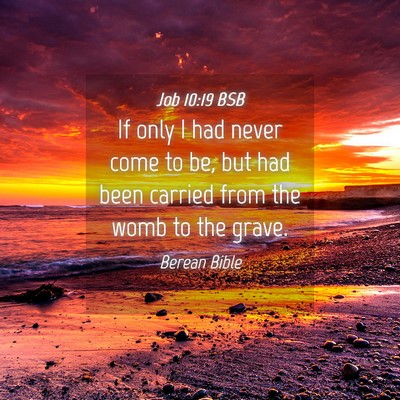 Picture 04 - Job 10:19 BSB - If only I had never come to be, but had been - Bible Verse Picture