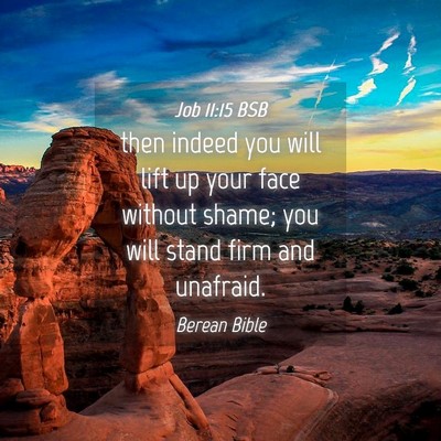 Picture 04 - Job 11:15 BSB - then indeed you will lift up your face without - Bible Verse Picture