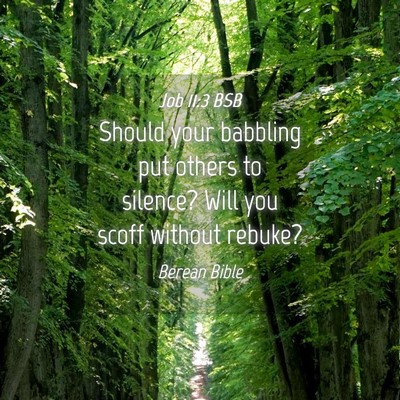 Picture 04 - Job 11:3 BSB - Should your babbling put others to silence? Will - Bible Verse Picture