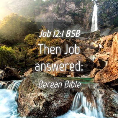 Picture 04 - Job 12:1 BSB - Then Job - Bible Verse Picture
