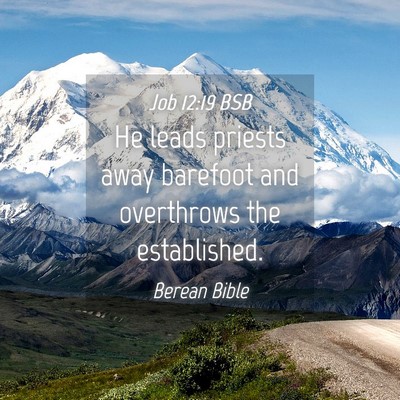 Picture 04 - Job 12:19 BSB - He leads priests away barefoot and overthrows the - Bible Verse Picture