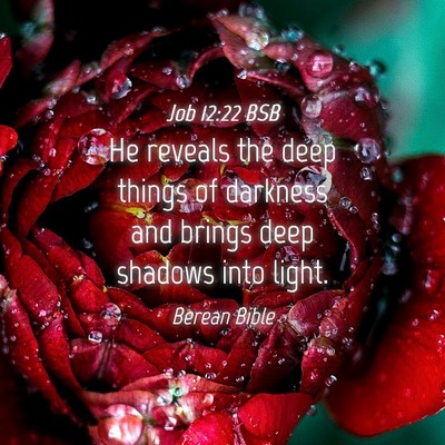 Picture 04 - Job 12:22 BSB - He reveals the deep things of darkness and brings - Bible Verse Picture