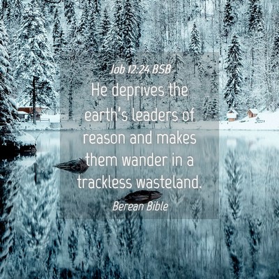 Picture 04 - Job 12:24 BSB - He deprives the earth’s leaders of reason and - Bible Verse Picture