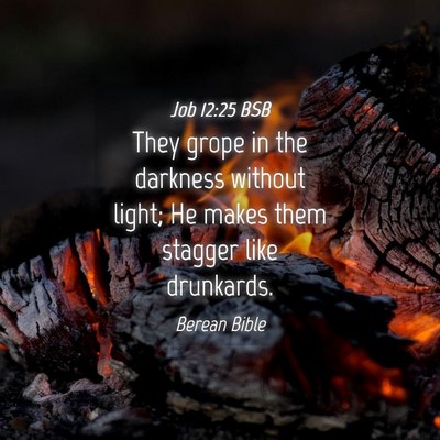 Picture 04 - Job 12:25 BSB - They grope in the darkness without light; He - Bible Verse Picture